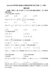 四川省眉山市东坡区苏洵中学2024—2025学年上学期九年级期中数学试卷