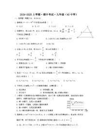 辽宁省沈阳市第四十三中学2024-2025学年上学期 九年级期中考试数学试题
