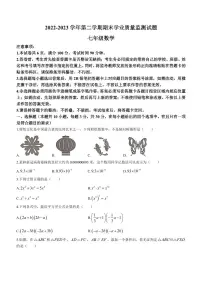 广东省深圳市罗湖区2022-2023学年七年级下学期期末数学试题