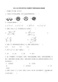 2022-2023学年北师大版七年级数学下册期末提高综合测试题