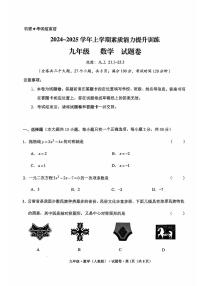 云南省昭通市绥江县2024-2025学年九年级上学期11月期中数学试题