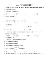 2023年广东省广州市实验中学中考二模数学试题