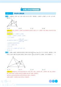 全等之手拉手模型精讲精练练习-中考数学专题