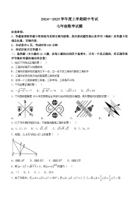 山东省泰安市肥城市2024-2025学年七年级上学期11月期中考试数学试题