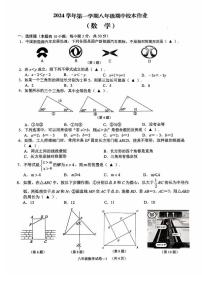 浙江金华市义乌市2024年八年级上学期11月期中考试数学试题+答案