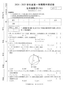 河南省驻马店市确山县部分私立学校期中联考2024-2025学年九年级上学期11月期中数学试题