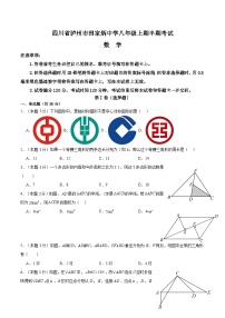 四川省泸州市田家炳中学2024-2025学年八年级上学期11月期中数学试题