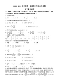 山东省淄博市高新区2024-2025学年八年级上学期期中考试数学试卷