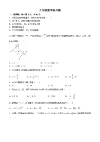 山东省泰安市岱岳区2024-2025学年上学期九年级数学期中考试卷