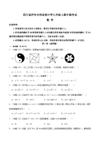 四川省泸州市田家炳中学2024-2025学年九年级上学期11月期中数学试题