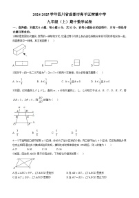 四川省成都市青羊区树德中学2024—2025学年上学期九年级期中数学试卷