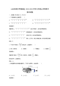 2023-2024学年山东省德州市陵城区七年级(上)期中数学试卷（解析版）