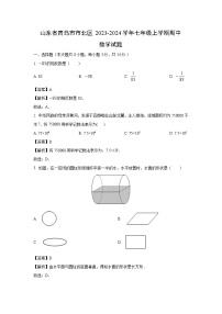 2023-2024学年山东省青岛市市北区七年级(上)期中数学试卷（解析版）