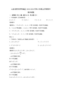 2023-2024学年山东省青岛市市南区八年级(上)期中数学试卷（解析版）