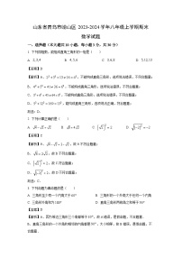 2023-2024学年山东省青岛市崂山区八年级(上)期末数学试卷（解析版）