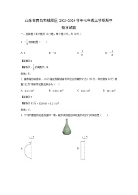 2023-2024学年山东省青岛市城阳区七年级(上)期中数学试卷（解析版）