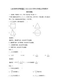 2023-2024学年山东省青岛市即墨区七年级(上)期中数学试卷（解析版）