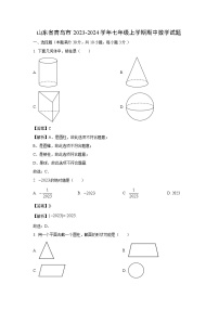 2023-2024学年山东省青岛市七年级(上)期中数学试卷（解析版）