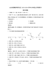 2023-2024学年山东省聊城市阳谷县七年级(上)期中数学试卷（解析版）