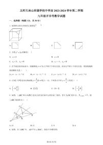 深圳北师大南山附属学校中学部2023-2024学年九年级下学期开学考数学试题（原卷版+解析版）