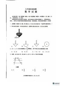 山东省济南市长清区2024-2025学年九年级上学期期中考试数学试题
