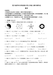 四川省泸州市田家炳中学2024-2025学年九年级上学期11月期中数学试题