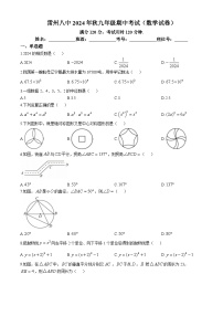 广东省湛江市雷州市第八中学2024-2025学年九年级上学期11月期中数学试题(无答案)