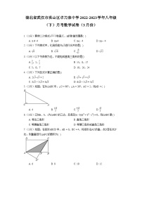 湖北省武汉市洪山区卓刀泉中学2022-2023学年八年级（下）月考数学试卷（3月份）