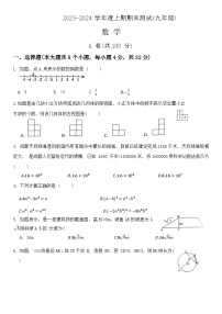 2023-2024学年四川省成都市双流区九年级（上）期末数学试卷