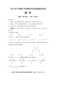2023-2024学年湖南省株洲市八年级（上）期末数学试卷