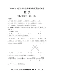 2023-2024学年湖南省株洲市八年级（上）期末数学试卷