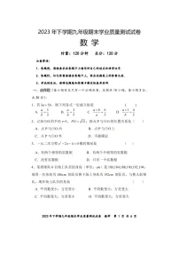 2023-2024学年湖南省株洲市九年级（上）期末数学试卷