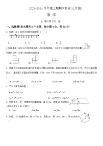 2023-2024学年四川省成都市双流区九年级（上）期末数学试卷