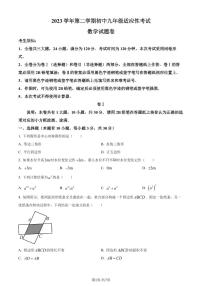 2024年浙江省丽水市中考一模考试数学模拟试题（原卷版+解析版）