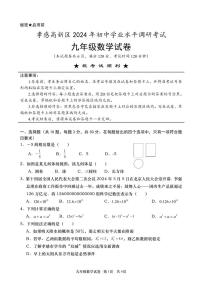 2024年湖北孝感市孝南区中考一模数学试卷（含答案）
