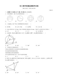 2024—2025黑龙江省齐齐哈尔市铁锋区学年九年级(上)教学质量监测期中数学试卷(含答案)