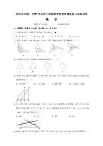 2024～2025学年湖北省荆门市京山市八年级(上)期中教学质量监测数学试卷(解析版+学生版)