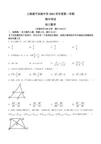 2024～2025学年上海市建平实验中学九年级(上)期中数学试卷(含答案)