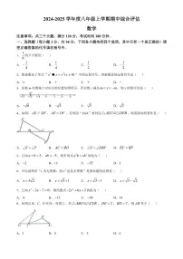 2024～2025学年河南省周口市商水县八年级(上)期中数学试卷(含答案)