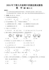 2024～2025学年湖南省怀化市通道县九年级(上)期中数学试卷(含答案)