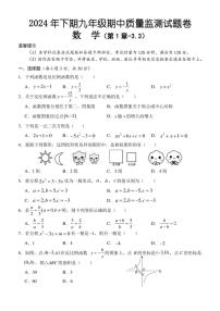 2024～2025学年湖南省永州市通道县九年级(上)期中数学试卷(含答案)