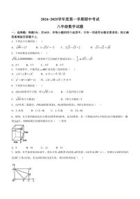 2024～2025学年山东省枣庄市滕州市八年级(上)数学期中试卷(含答案)