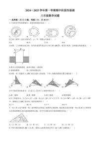 2024～2025学年山东省德州市德城区八年级(上)期中数学试卷(含答案)