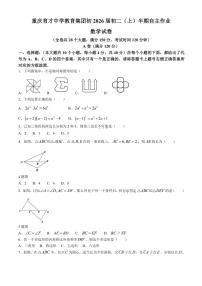 2024～2025学年重庆育才中学教育集团八年级(上)期中数学试卷(含答案)(2)