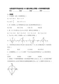 2025届山东省济宁市金乡县九年级(上)10月月考数学试卷(含解析)