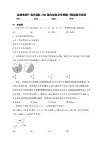 2025届山西省晋中市寿阳县九年级(上)期中测试数学试卷(含解析)