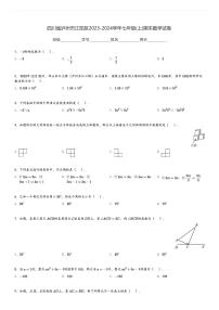 2023-2024学年四川省泸州市江阳区七年级(上)期末数学试卷(含解析)