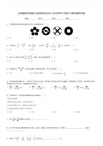 2023-2024学年江苏省泰州市靖江市实验学校八年级(下)期中数学试卷(含解析)