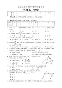 2024～2025学年湖南省张家界市慈利县九年级(上)期中数学试卷(含答案)