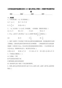 2025届江苏省盐城市盐都区五校九年级(上)期中数学试卷(含详解)